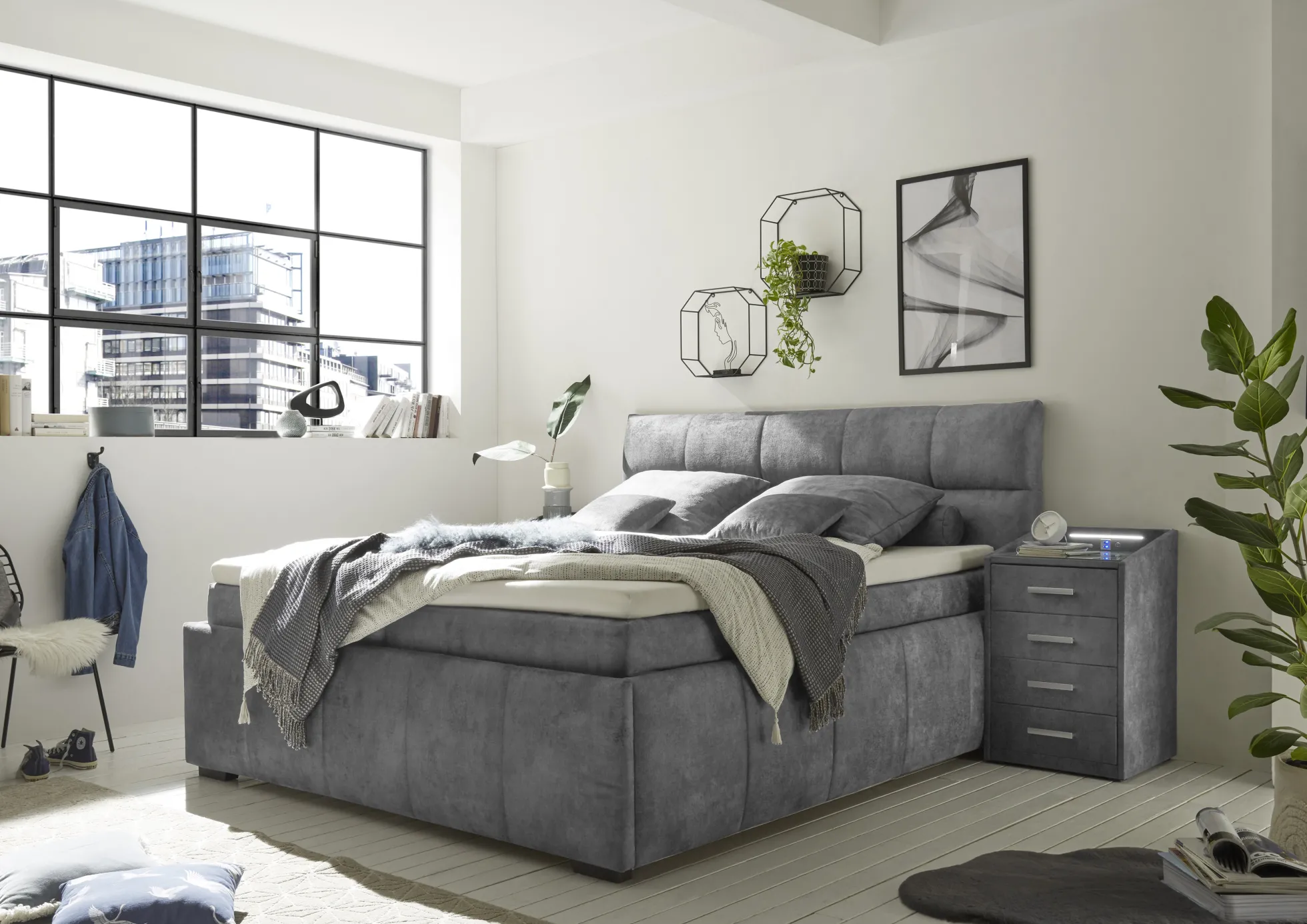 Boxbett AVIDANO 6