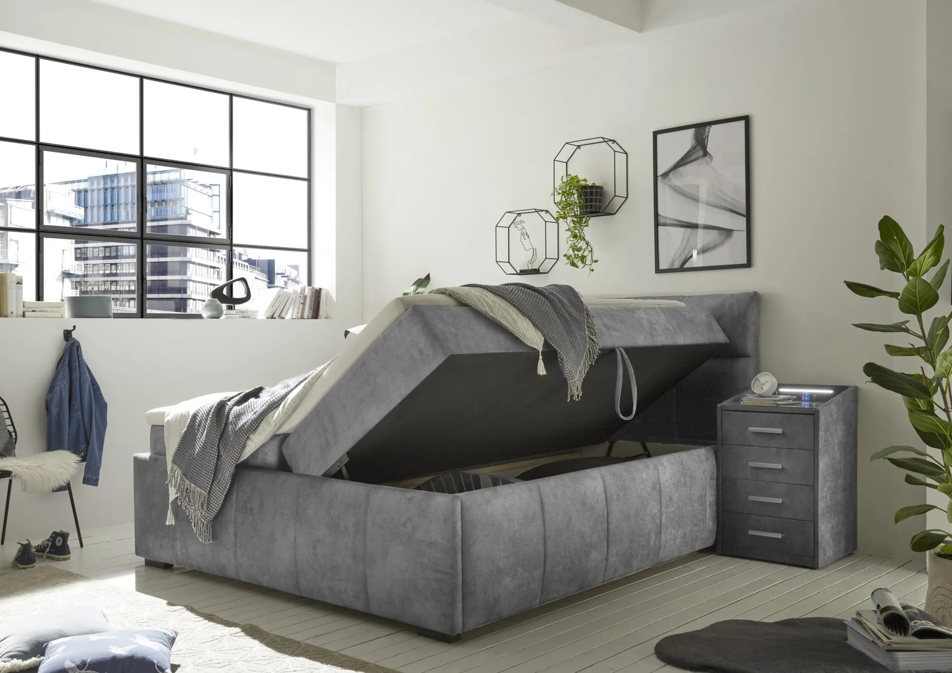 Boxbett AVIDANO 6