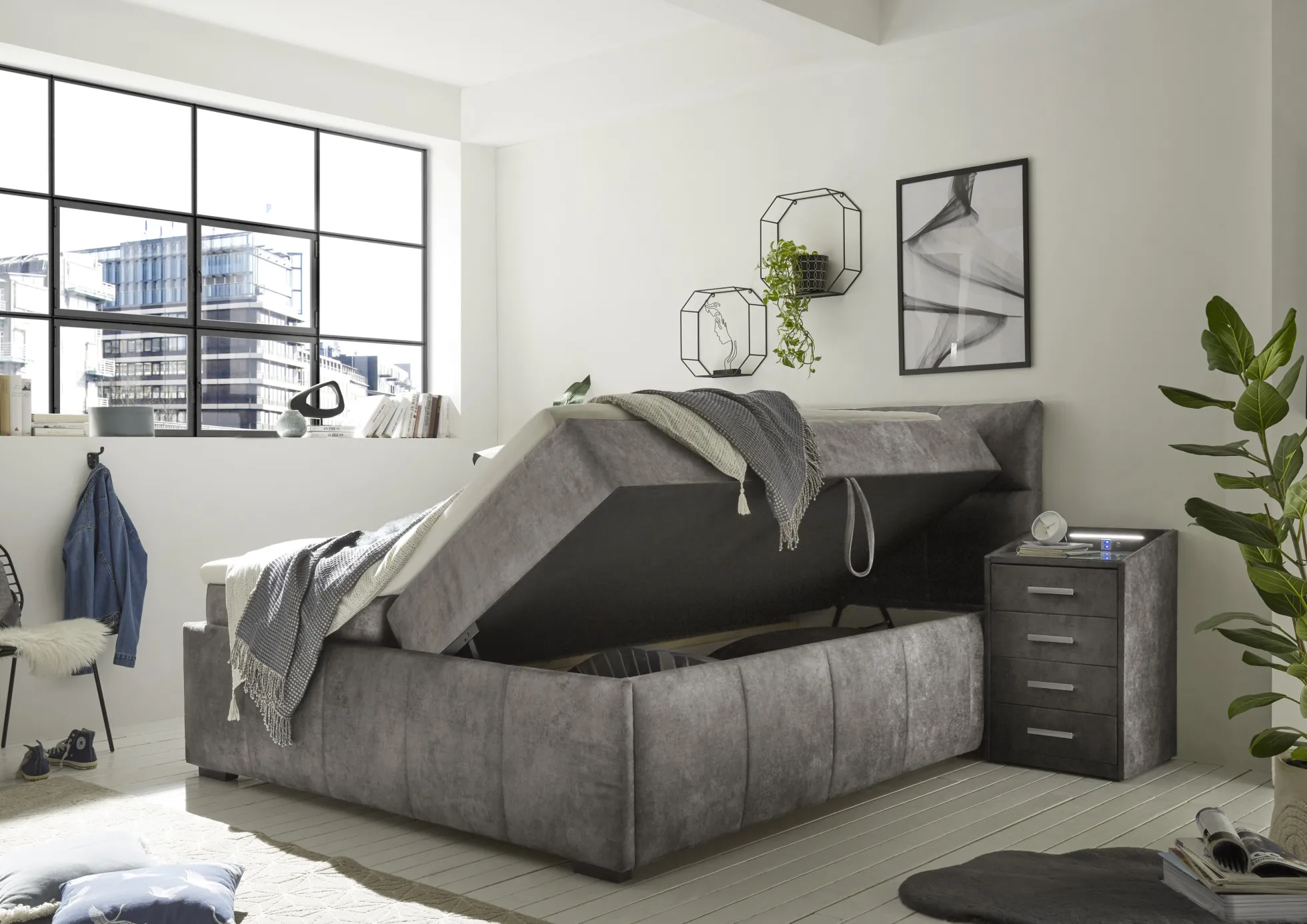 Boxbett AVIDANO 6