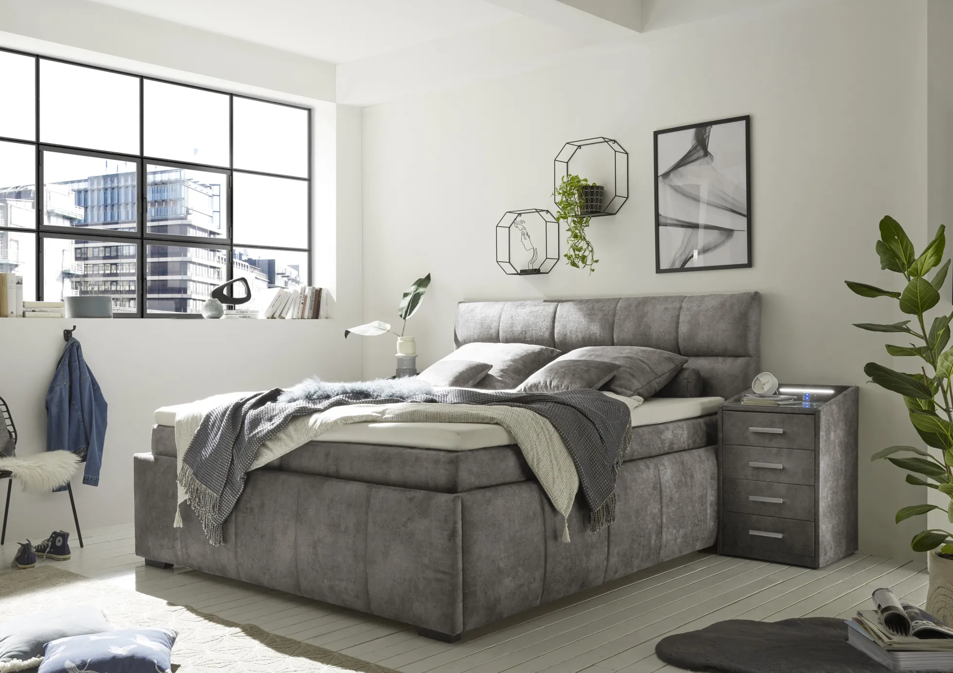 Boxbett AVIDANO 6