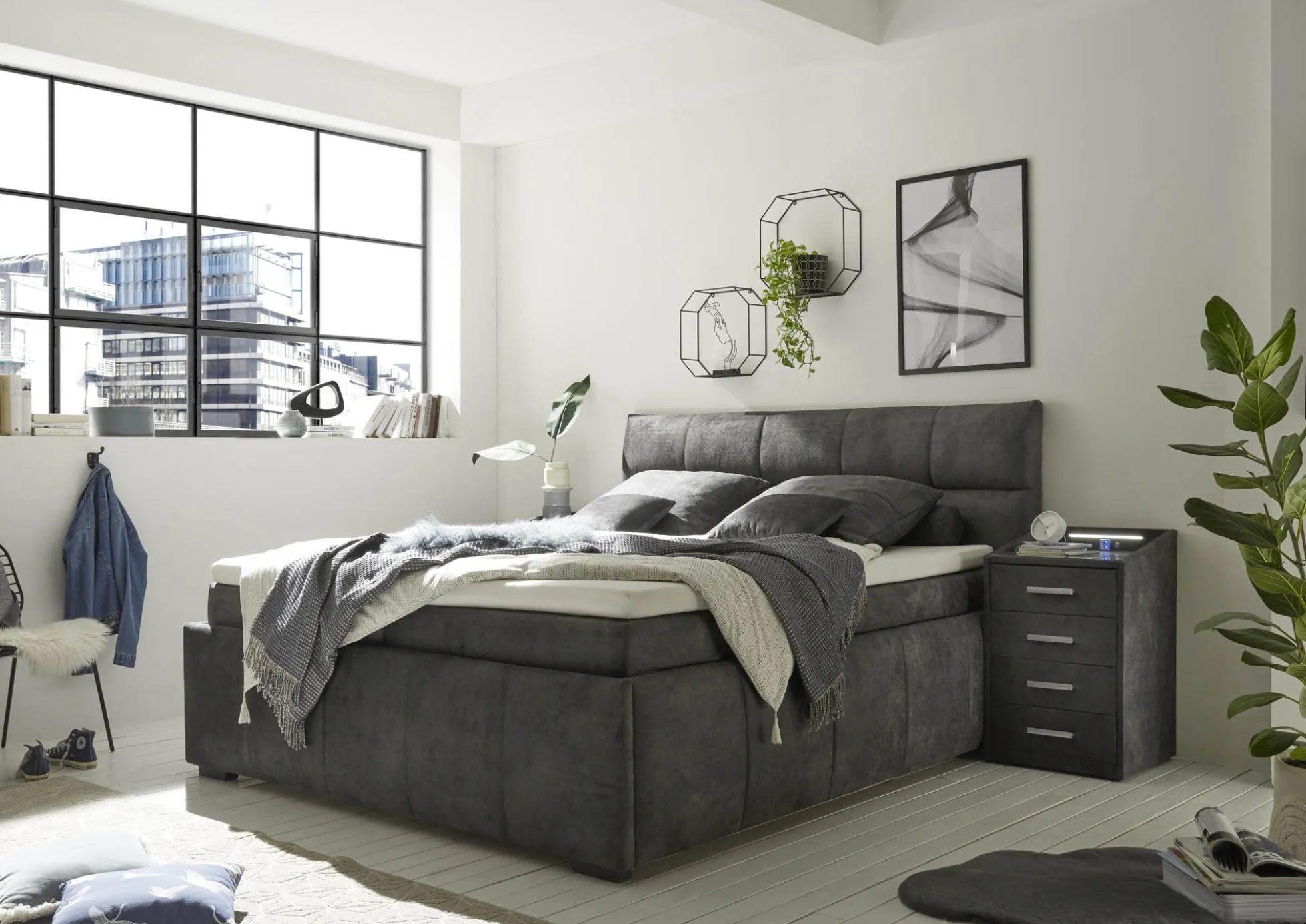 Boxbett AVIDANO 6