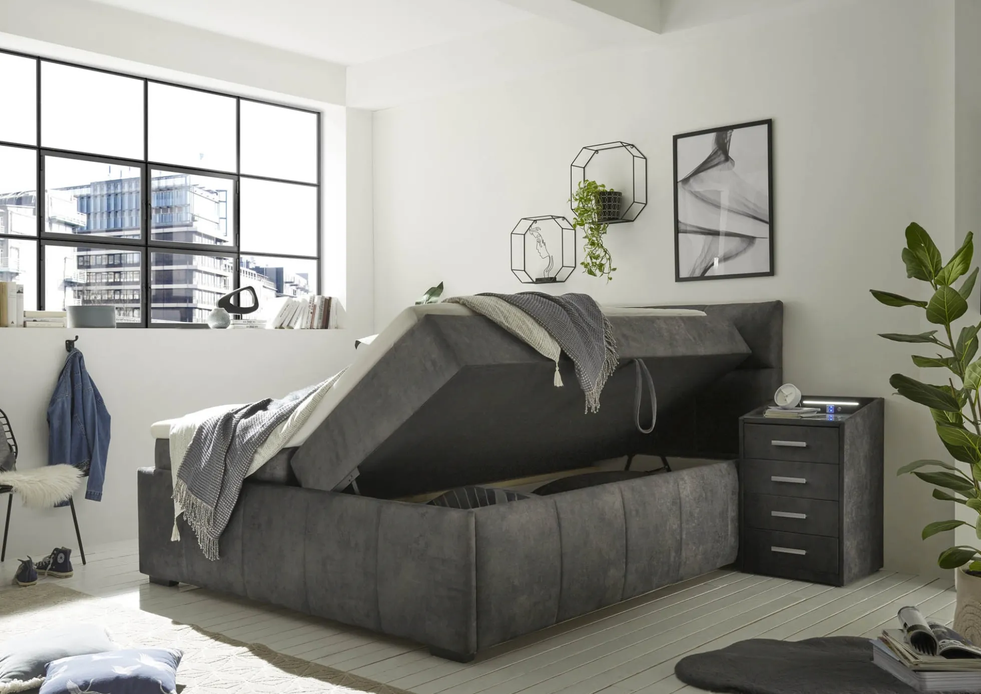 Boxbett AVIDANO 6