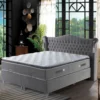 Boxbett COSTARICO