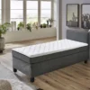 Boxspringbett BX 1480