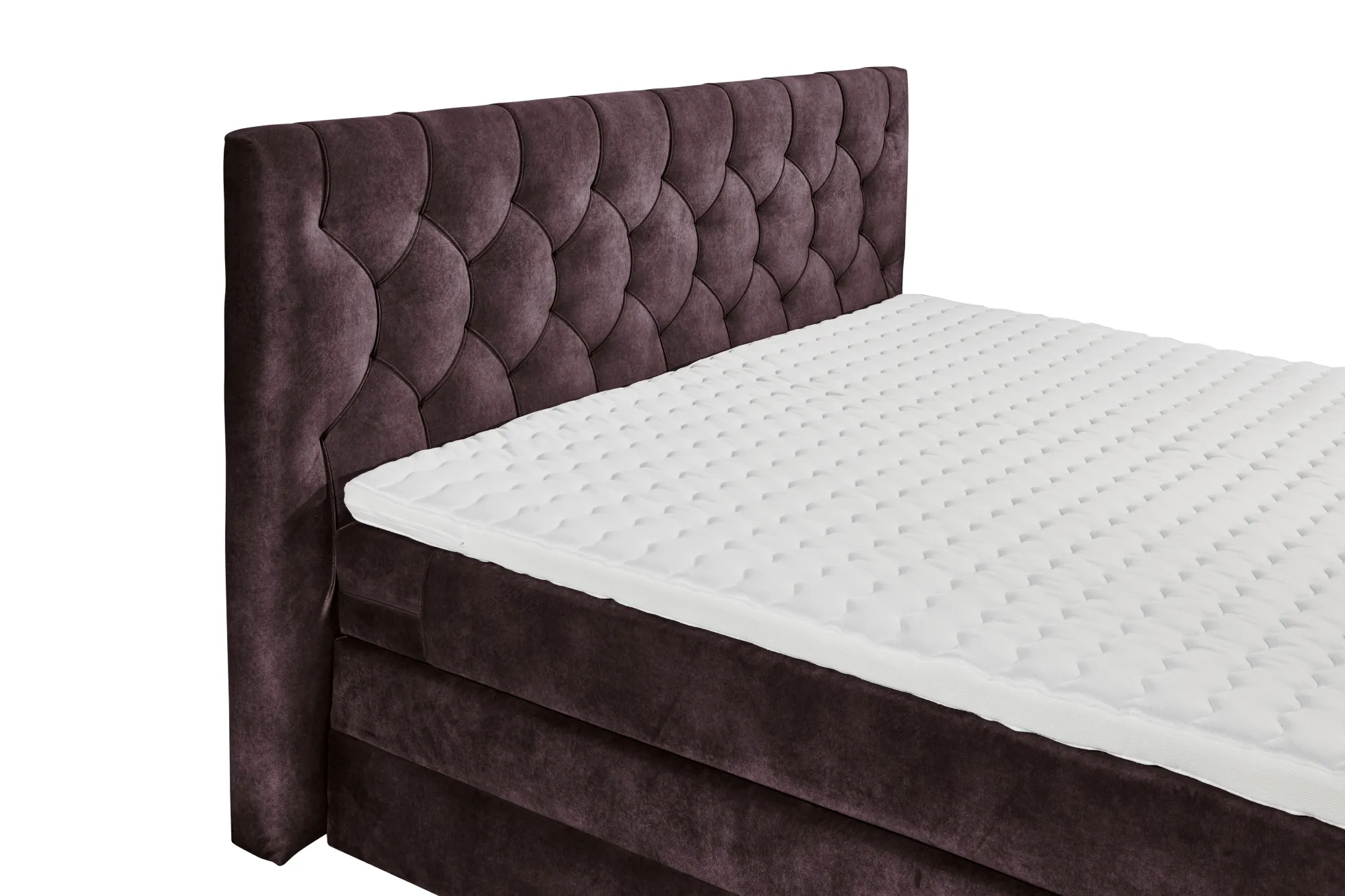 Boxspringbett CASHFIELD 8