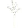 Cornuszweig REAL TOUCH