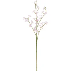 Cornuszweig REAL TOUCH