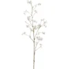Cornuszweig REAL TOUCH