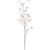 Cornuszweig REAL TOUCH