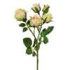 Deko-Blume POLYANTROSE