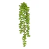 Dekopflanze Hängezweig SEDUM