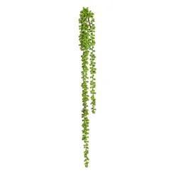 Dekopflanze SEDUM