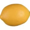 Deko Zitrone FRUITS
