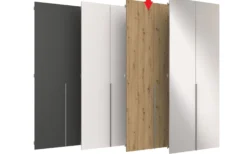 Drehtüren-Fronten 2er-Set EASY PLUS