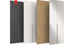 Drehtüren-Fronten 2er-Set EASY PLUS