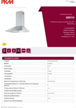 Dunstabzugshaube 6091H