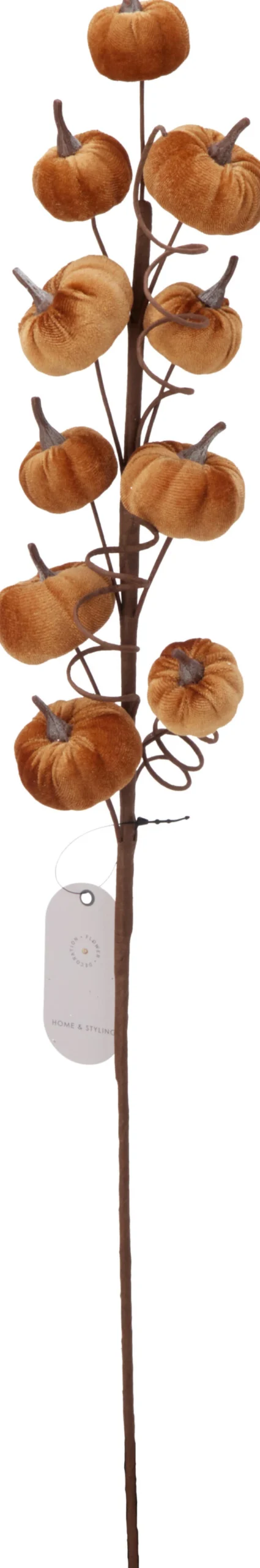 Herbstzweig Blätter HERBST
