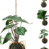 Hängepflanze 30cm BOTANIC