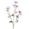 Kornblume FLOWER