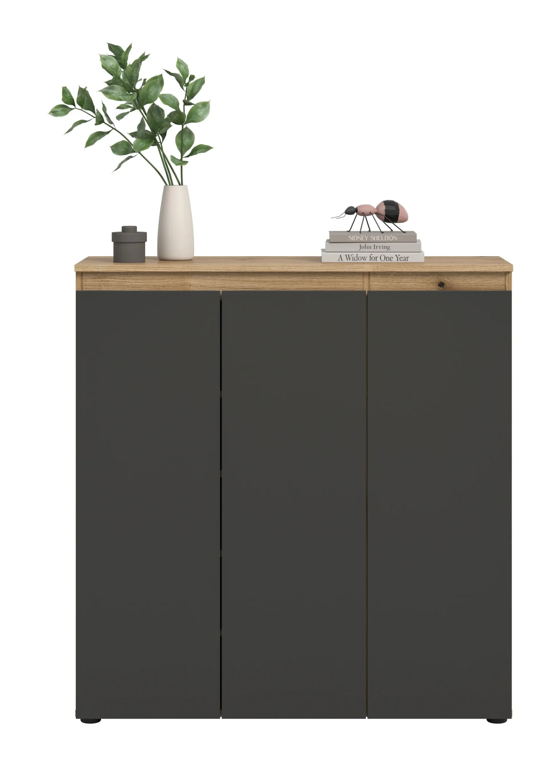 Mehrzweckschrank SCARPA