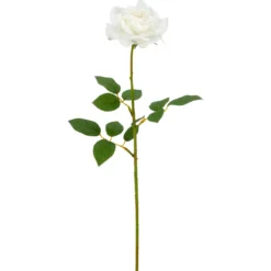 Rose REAL TOUCH