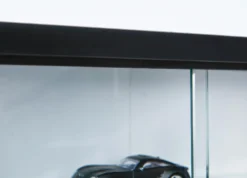 Sammlervitrine COLLECTY