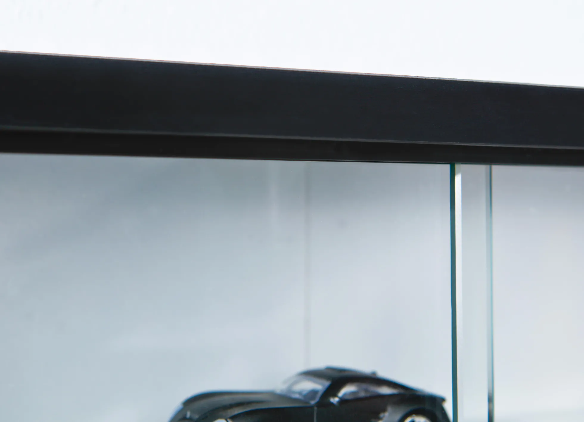 Sammlervitrine COLLECTY