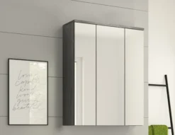 Spiegelschrank ASSELA