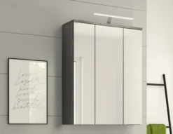 Spiegelschrank ASSELA