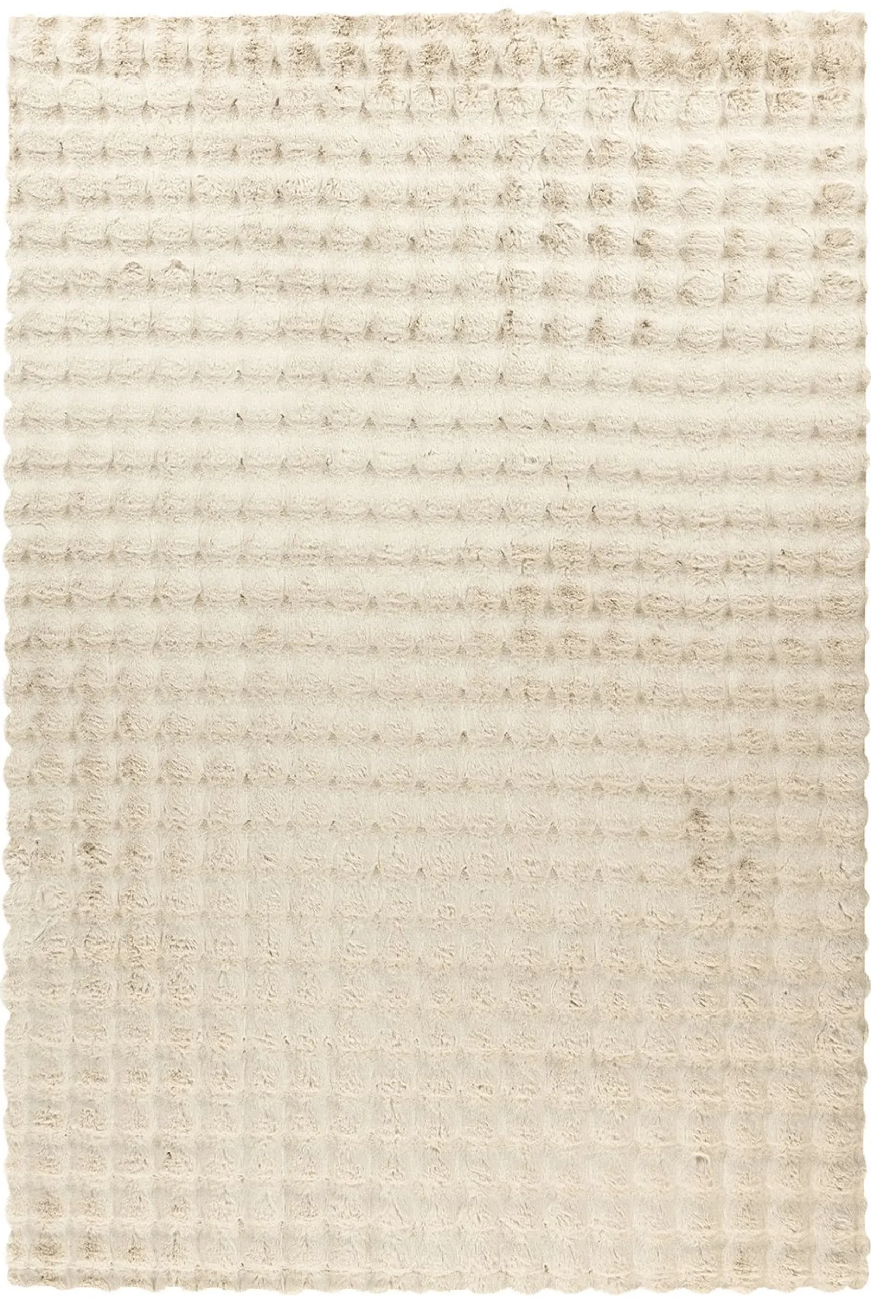 Teppich HAILEY 125