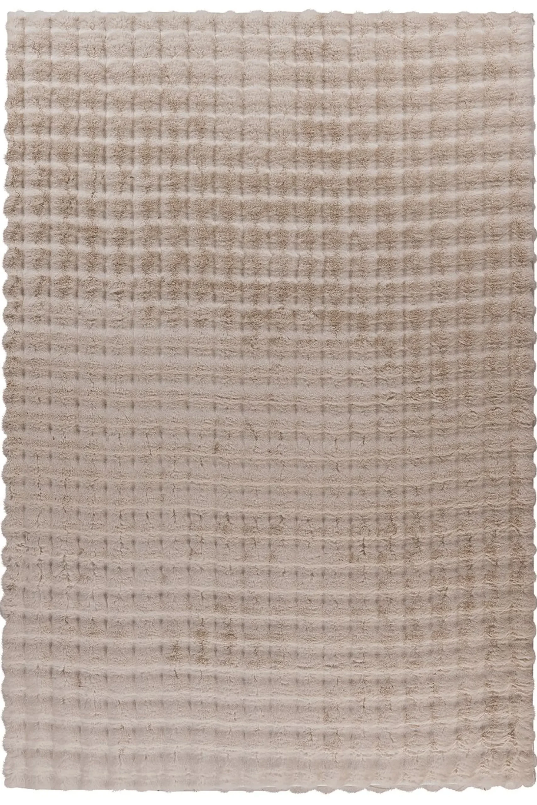 Teppich HAILEY 125