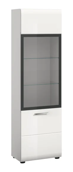 Vitrine ICE