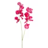 Wicke FLOWERS