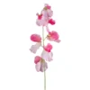 Wicke FLOWERS